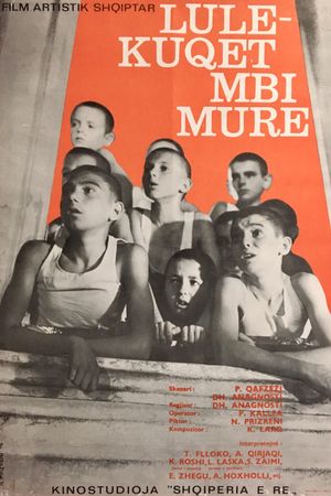 Lulekuqet mbi mure's poster