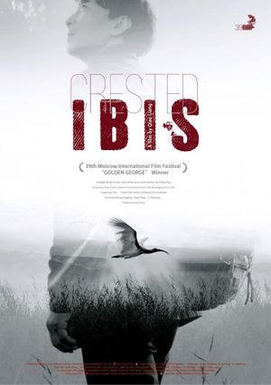 Crested Ibis's poster image