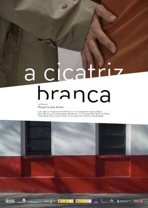 A cicatriz branca's poster