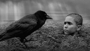 The Painted Bird's poster
