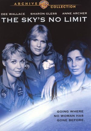 The Sky's No Limit's poster