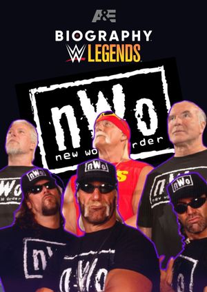 Biography: nWo's poster