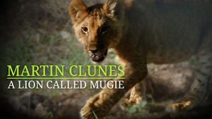 Martin Clunes & a Lion Called Mugie's poster