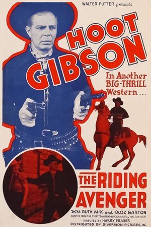 The Riding Avenger's poster image