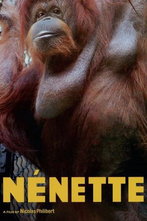 Nénette's poster