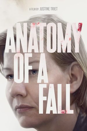 Anatomy of a Fall's poster