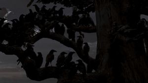 The Birds's poster