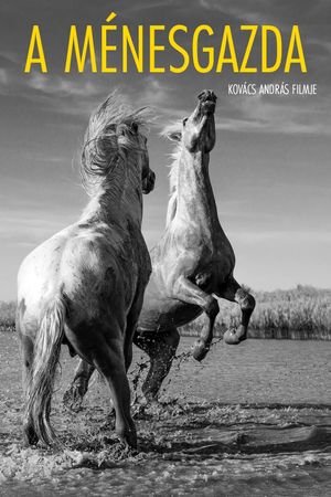 The Stud Farm's poster