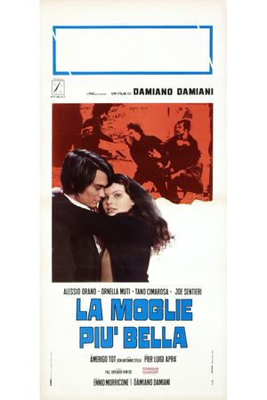 The Most Beautiful Wife's poster