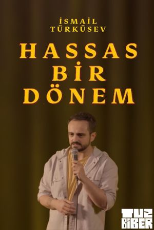 Hassas Bir Dönem - İsmail Türküsev's poster