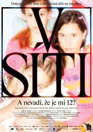 Caught in the Net's poster