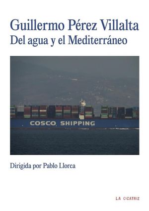 Guillermo Pérez Villalta. Del agua y el Mediterráneo's poster