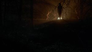 The Witch's poster