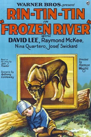 Frozen River's poster