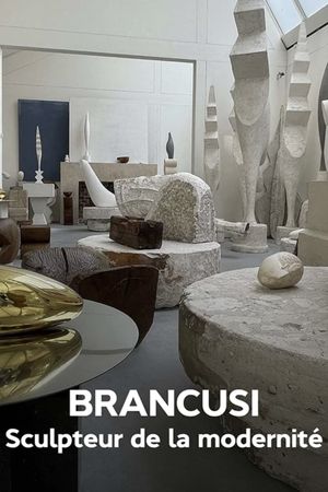 Brancusi : les métamorphoses de la sculpture's poster