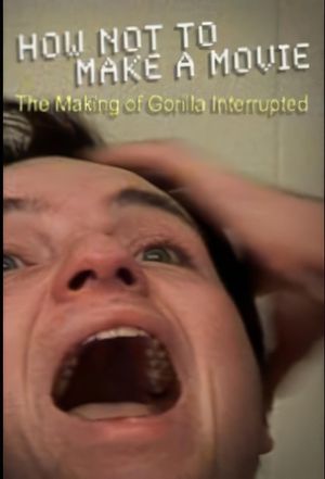 How Not to Make a Movie's poster