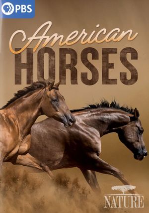 American Horses's poster