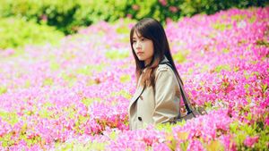 Petals and Memories's poster