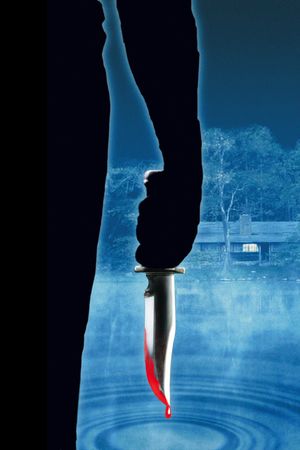 Friday the 13th's poster