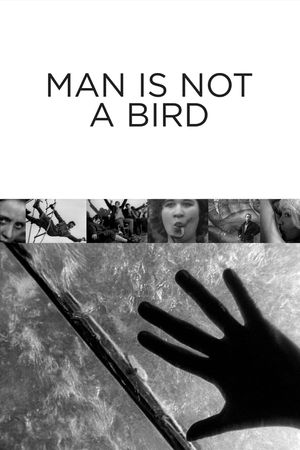 Man Is Not a Bird's poster