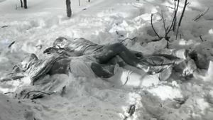 The Dyatlov Pass Case's poster