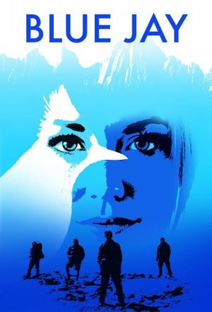 Blue Jay's poster