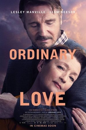 Ordinary Love's poster
