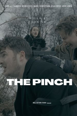 The Pinch's poster