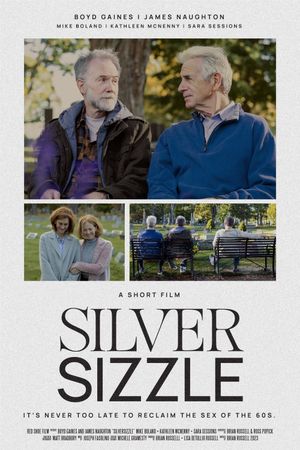 SilverSizzle's poster