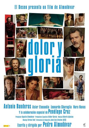 Pain and Glory's poster
