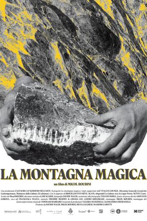 La montagna magica's poster