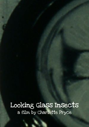 Looking Glass Insects's poster