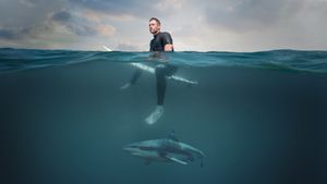 Shark Beach With Chris Hemsworth's poster