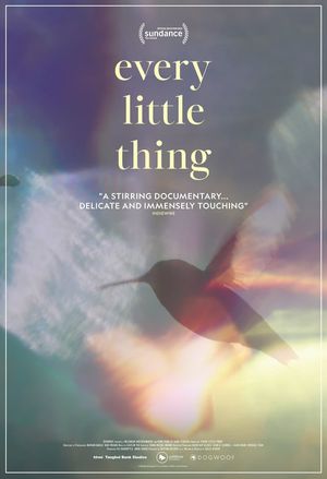 Every Little Thing's poster