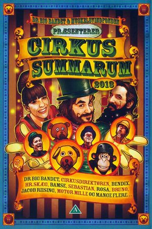 Cirkus Summarum 2013's poster