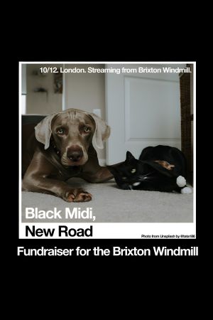 Black Midi, New Road: 'Live at The Windmill, Brixton.''s poster