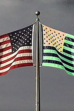 Flag and Its Shadow's poster