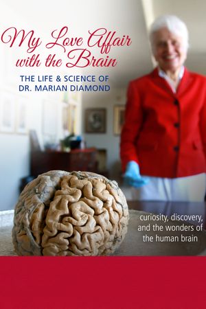 My Love Affair with the Brain's poster
