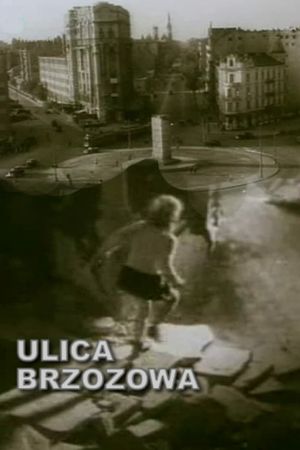 Brzozowa Street's poster