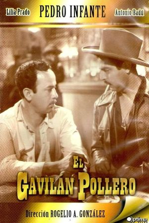 El gavilán pollero's poster