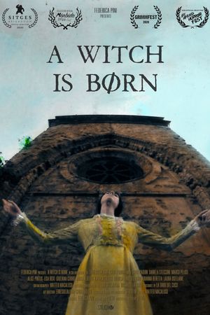 A witch is børn's poster image