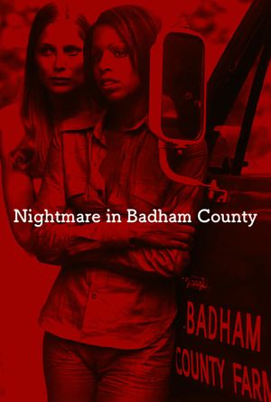 Nightmare in Badham County's poster