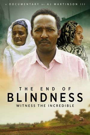 The End of Blindness's poster image