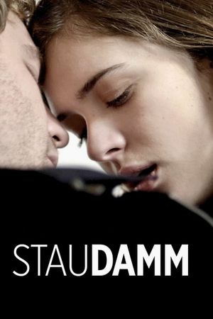 Staudamm's poster