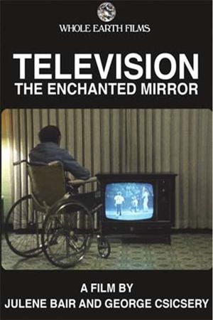 Television: The Enchanted Mirror's poster