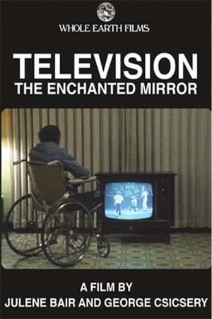 Television: The Enchanted Mirror's poster image