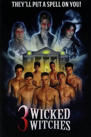 3 Wicked Witches's poster