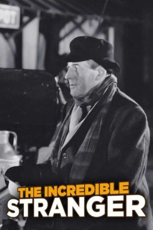 The Incredible Stranger's poster
