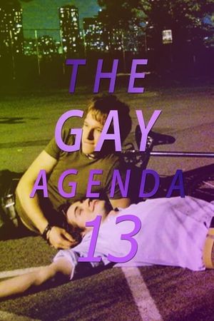 The Gay Agenda 13's poster image