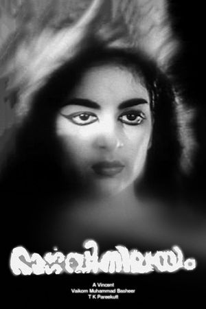 Bhargavi Nilayam's poster